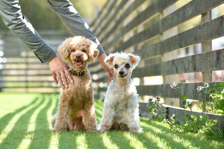 日陰でしっかり休憩も（イメージ）