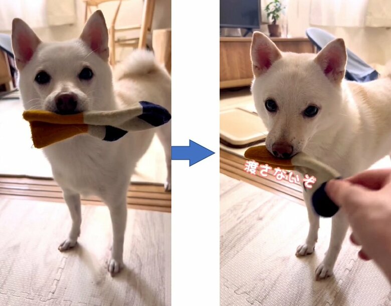 靴下脱がし後、返してくれない…