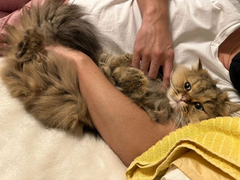 提供：ひなたさん