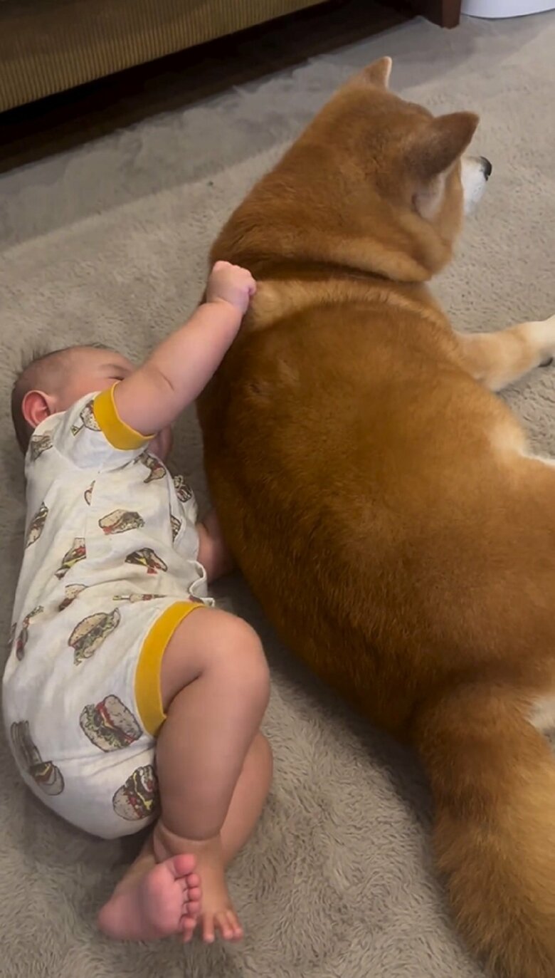 ぐいーっとつかんで…