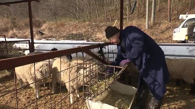 牛屋・吉田健さん