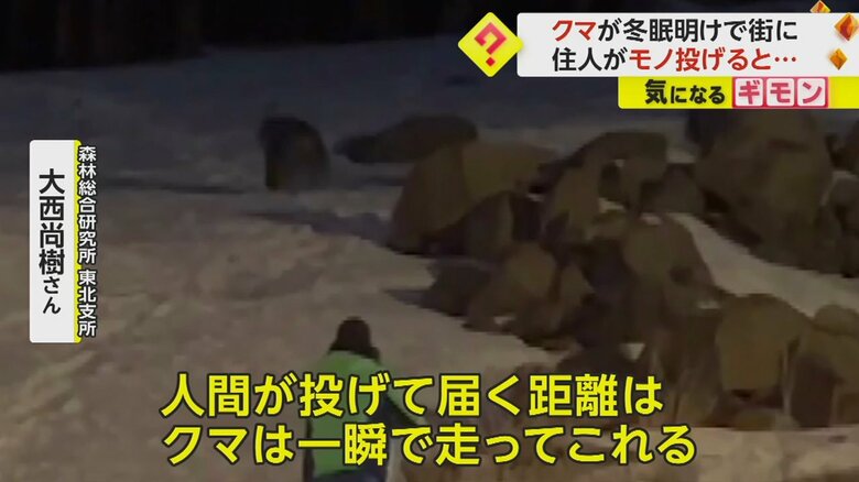 十分に距離を取りクマを刺激しないことが重要だと大西氏は語る
