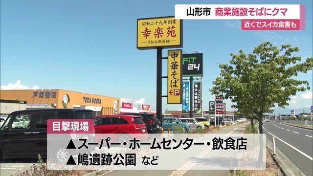 24日夜、多くの人々が集まる商業施設そばの道路に出没