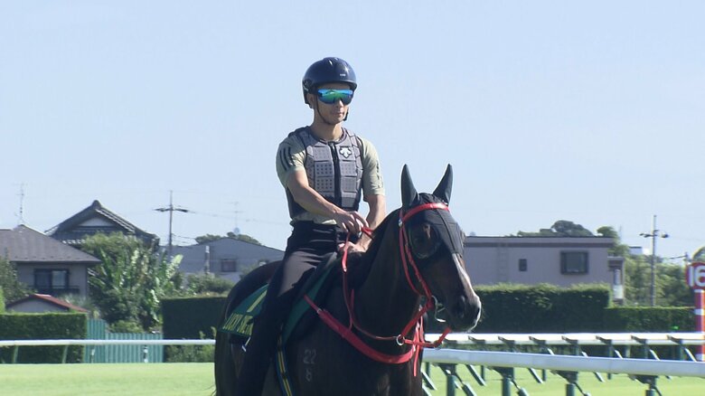 ラッキースワイネス調教