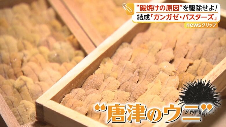 地域で名産の「唐津のウニ」