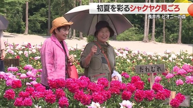季節の花々は見る人を自然と笑顔にさせる。「しゃくやくまつり」は6月15日（日）まで