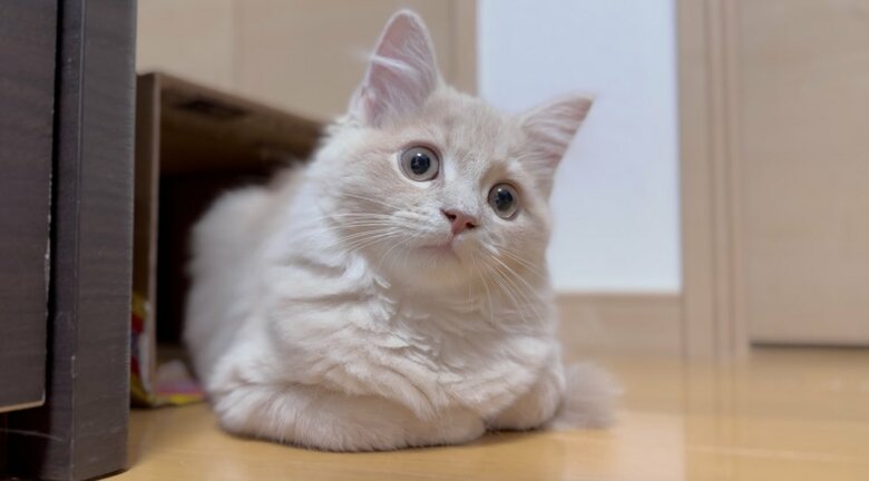 今では成長しました