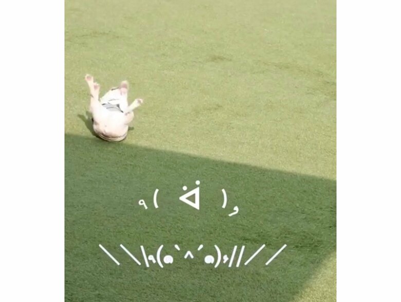 提供：むぎさん