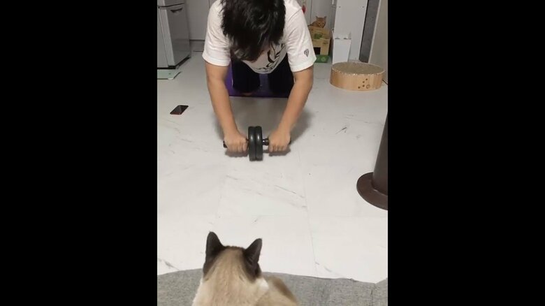 提供：たぬき&とらさん