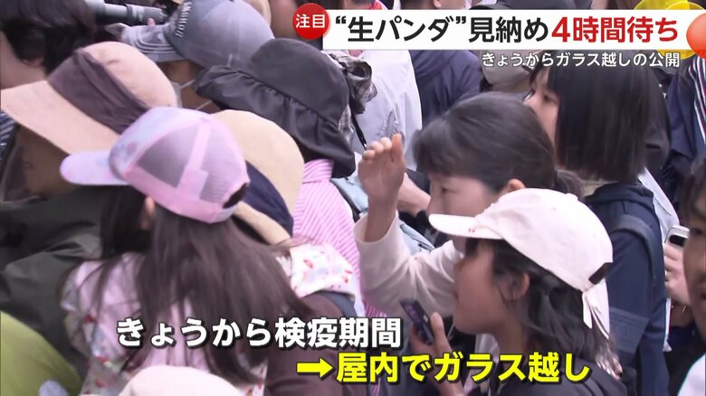 26日から検疫期間となりガラス越しでの公開となった