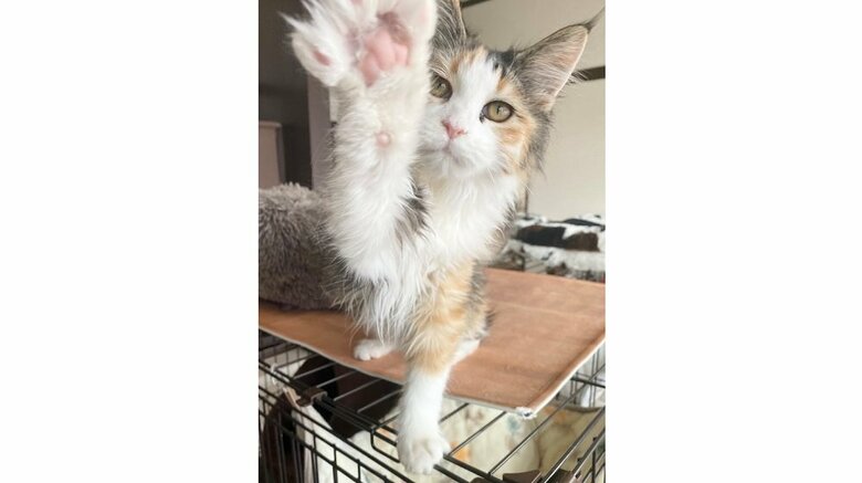 もう少しでロック解除をマスターする？