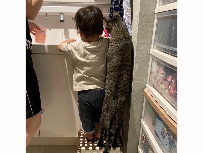 提供：かぎしっぽすず&つむぎさん