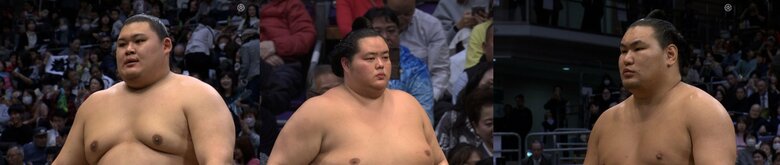 ３人の横綱候補、大の里　琴櫻　豊昇龍