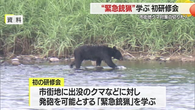 【山形】村山市でクマ被害防止対策研修会…9月施行の「緊急銃猟」を学ぶ