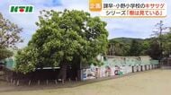 100年以上子供たちを見守ってきた諫早市立小野小学校の「キササゲ」　図書館の名称や校歌にも