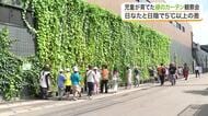 緑のカーテンで気温差５℃以上　泉区の商業施設で観察会　児童も効果を実感〈仙台市〉