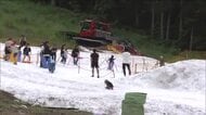 ひんやり冷たい感触に笑顔　“豪雪地帯”檜枝岐村で「真夏の雪まつり」