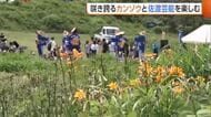 100万本超！？国内最大級“トビシマカンゾウ”群生地で小中学生が伝統芸能披露「来年もいっぱい咲くように」新潟・佐渡市