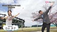 侍ジャパン＆プロ野球キャンプ地で「河津桜」と「梅」が競演。宮崎ならではの「贅沢な季節」3連休の楽しみ方と注意点を気象予報士が解説