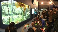 全壊した「地下水族科学館」も地元の支援で再開　今や街のランドマークに【岩手・久慈市】