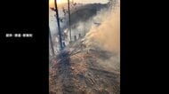 山林火災で自衛隊など消火活動…重機が林道に落ち“発火”　約1.8km先に住宅数世帯も被害なし　徳島・那賀町