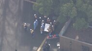 着火剤など多数所持 逮捕の少年「自殺前に人殺して」と供述 東大で受験生ら刺傷事件