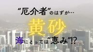 黄砂シーズン到来　“厄介者”のはずが…海にとっては“栄養源”　プランクトンに栄養素を供給し光合成を促進　