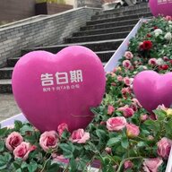 「なぜしつこく催促するの」中国の人口減少対策「婚育文化街」に反発の声　政府肝いり「嫁校」は閑散「嫌な気分になる」…若者の結婚観に変化