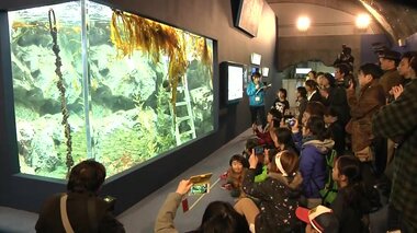 全壊した「地下水族科学館」も地元の支援で再開 今や街のランドマークに【岩手・久慈市】