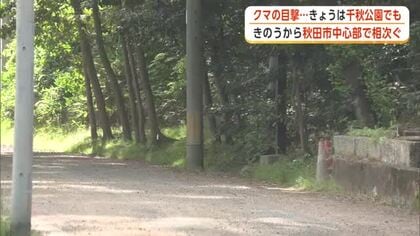 秋田市大町でクマ目撃相次ぐ　20日は千秋公園でも目撃情報　市や警察が注意呼びかける