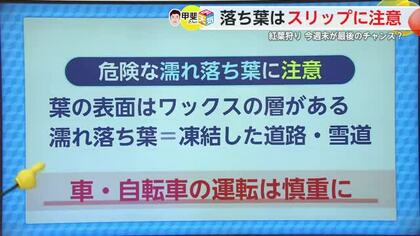 県内の紅葉見頃も「落ち葉はスリップに注意」週末の天気や12月の寒さは？【佐賀県】