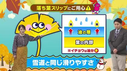12月12日（金）宮崎の天気 青空復活するも 北風冷たい１日に