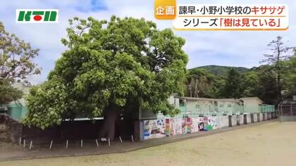 100年以上子供たちを見守ってきた諫早市立小野小学校の「キササゲ」　図書館の名称や校歌にも