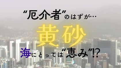 黄砂シーズン到来　“厄介者”のはずが…海にとっては“栄養源”　プランクトンに栄養素を供給し光合成を促進　