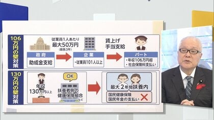 「『年収の壁』対策、2年後に抜本改革」と武見厚労相