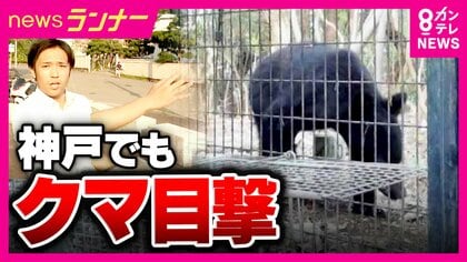 え！神戸にクマ“初出没”　ツキノワグマの成獣か「よその県の話かと思ってた」と地元住民　『天橋立』でも新しいクマの目撃情報　一時通行止めに