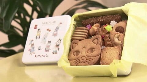 小倉井筒屋で「クッキー＆スイーツフェア」　関東・関西の人気クッキーが集結　絵本モチーフのクッキー缶やイベント限定商品も　5月19日まで　福岡・北九州市