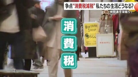 【衆院選の争点】『助かるけど不安もある』消費税減税、公約の“メリットと落とし穴”