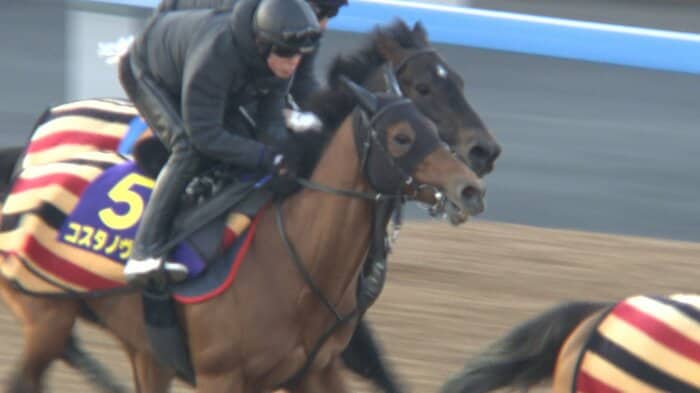 最終追い切りに臨むコスタノヴァ
