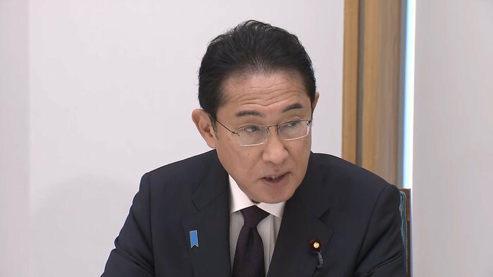 岸田首相は、影響を受ける事業者の不安を解消していく重要性を強調(29日)