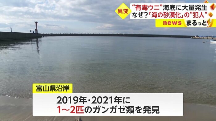 今年はなぜ大量発生しているのだろうか?