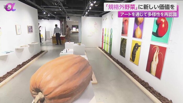 規格外野菜をテーマとした展示がならぶ