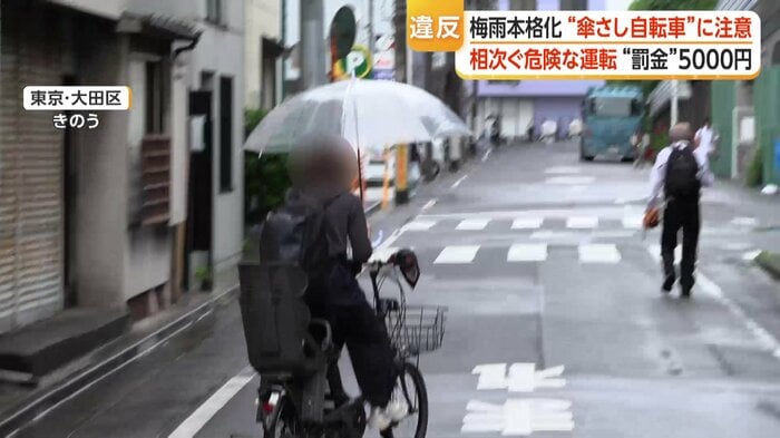 梅雨入り以降、各地で相次いで目撃