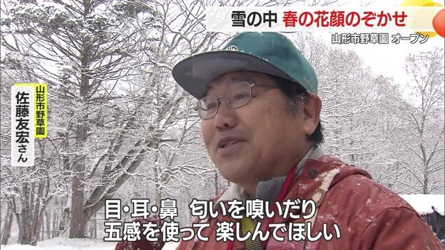 山形市野草園・佐藤友宏さん