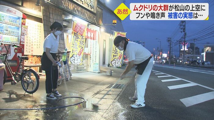 フンと羽の掃除に追われる住民
