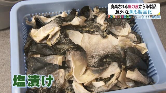 塩漬けにされた魚の皮