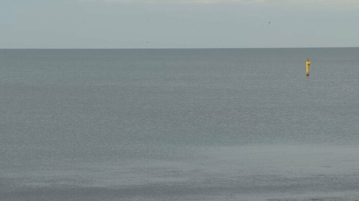 射水市沖（9日）