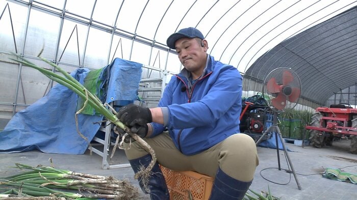 秋田・大仙市でネギなどを栽培している田畑雄基さん