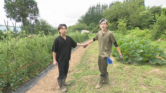 泉屋ファームの畑