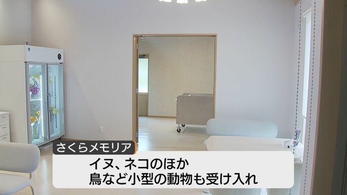 鳥など小型動物も受け入れる